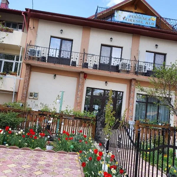 PENSIUNEA CIREȘUL ALB，位于Partizanii的酒店