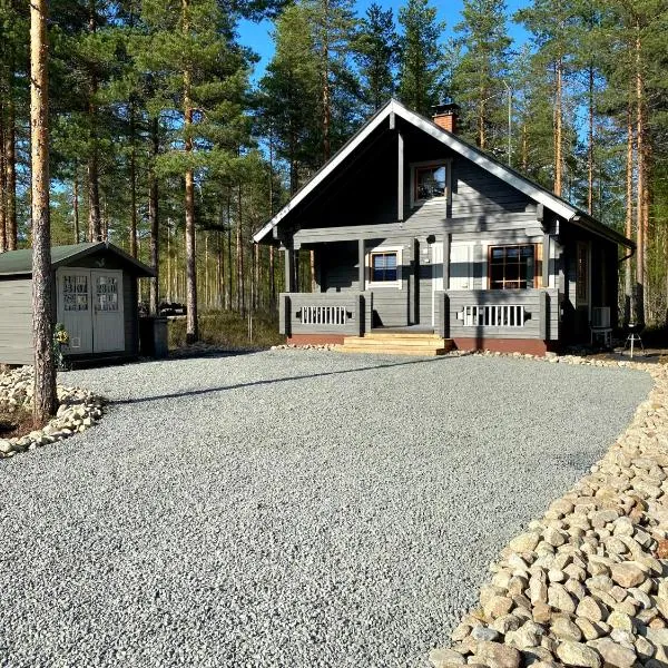 Playa del Finland，位于Ylivalli的酒店