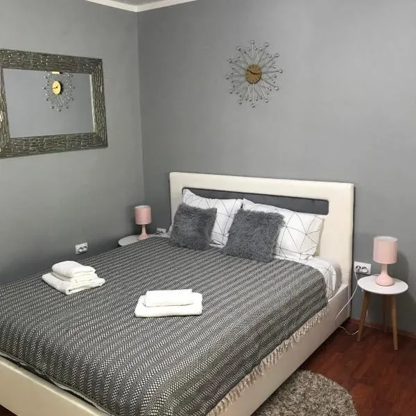 Apartman studio Pavle i Petra，位于Donji Kovilj的酒店