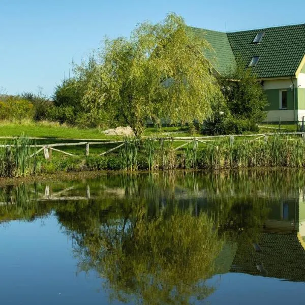 Pokoje Gościnne Butryny，位于Butryny的酒店