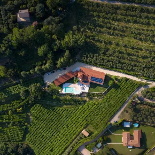 Agriturismo Ai Dossi，位于圣马尔蒂诺博纳尔贝尔戈的酒店