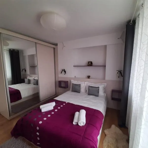 Chic Apartament，位于Brănişca的酒店
