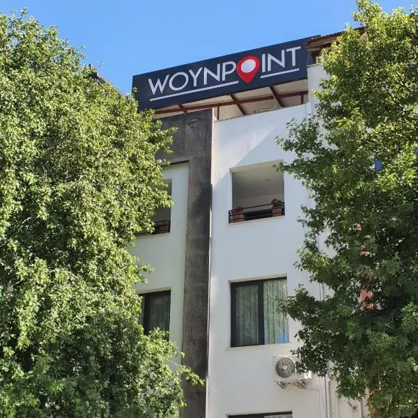 Woynpoint Hotel&Cafe，位于费特希耶的酒店