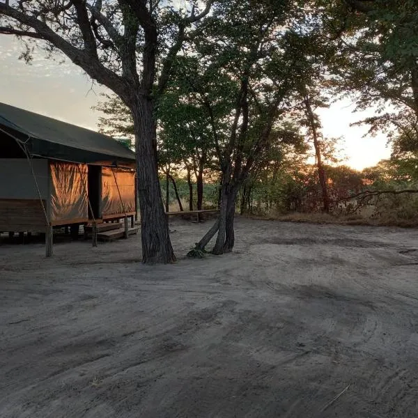 Acacia Camp,位于Chiro Pan的酒店