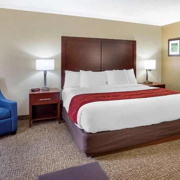 Comfort Inn Hoffman Estates - Schaumburg，位于阿尔贡金的酒店