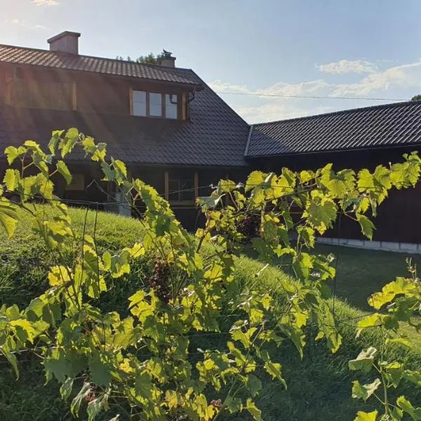 Green Willow Siedlisko，位于Wrocanka的酒店