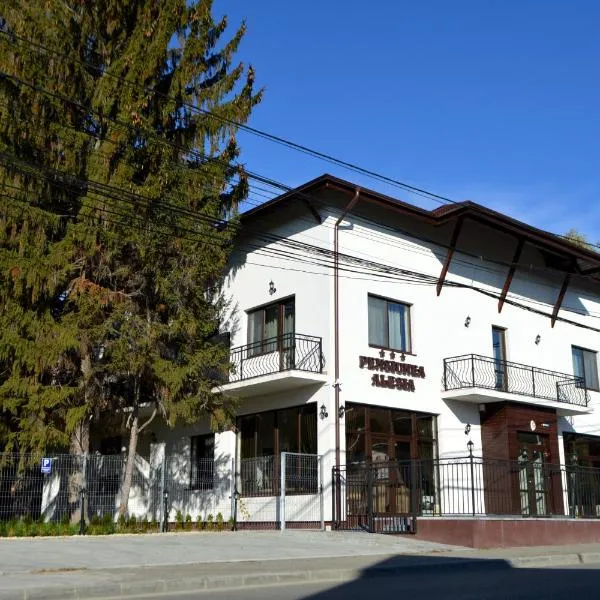 Pensiunea Alesia，位于Vîrfuri的酒店