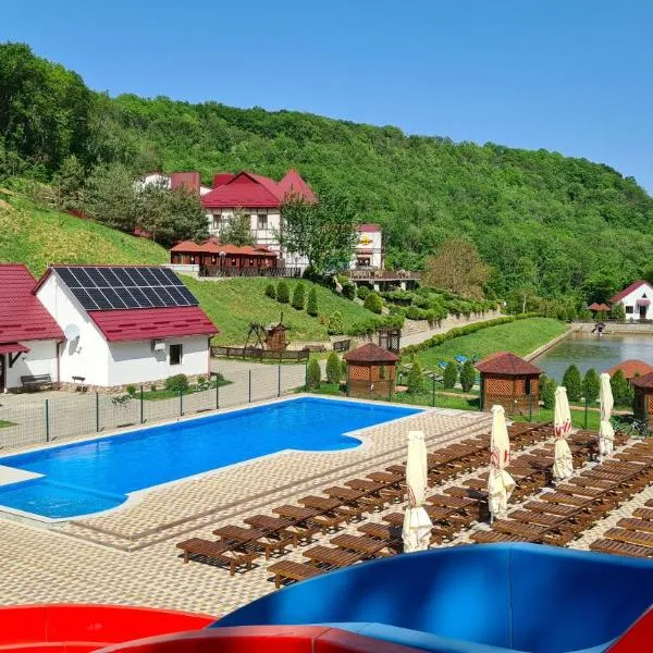 MishyN-City Hotel，位于Svidova的酒店