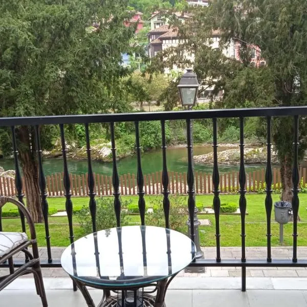 Apartamento con terraza al Puente Romano，位于坎加斯-德奥尼斯的酒店