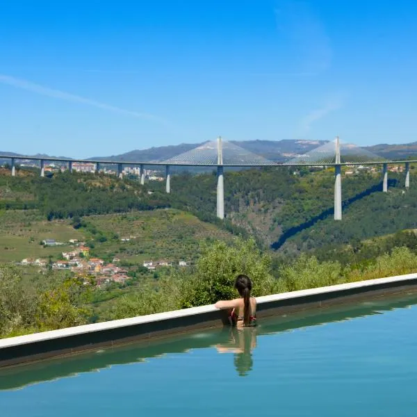 MW Douro Wine & Spa，位于São Martinho de Antas的酒店