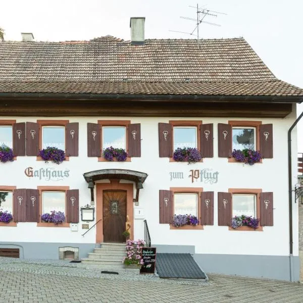 Hotel Landgasthof zum Pflug，位于Steinen的酒店