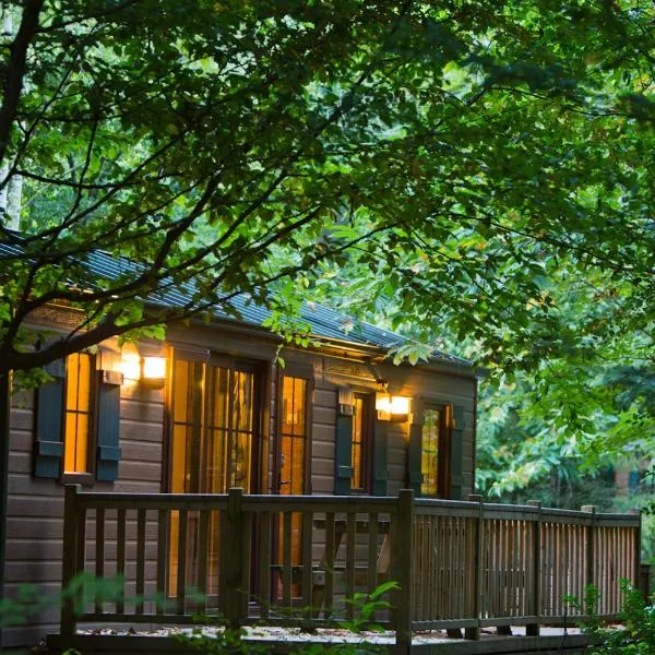 Disney Davy Crockett Ranch，位于新城勒孔特的酒店