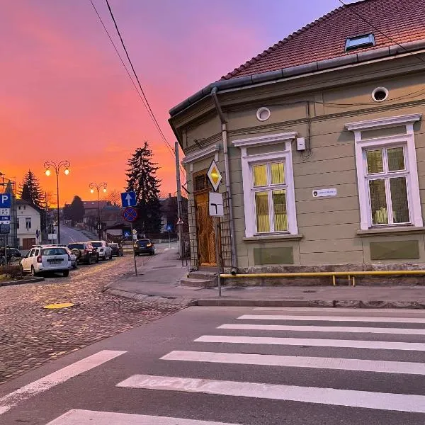 Guest House Hena，位于Zălan的酒店