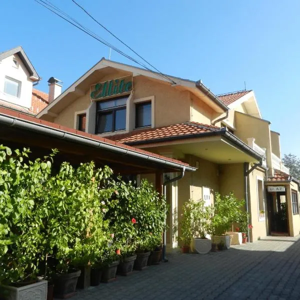 Guesthouse Ellite，位于Kostolac的酒店