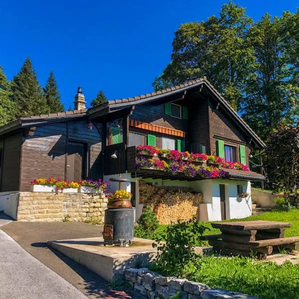 Chalet en pleine nature avec Spa，位于乐罗西的酒店