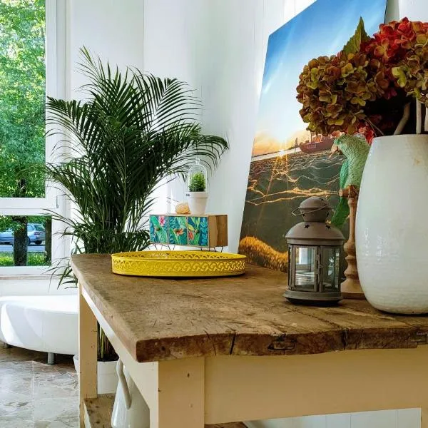 Hotel Rio Beach & Breakfast，位于切塞纳蒂科的酒店