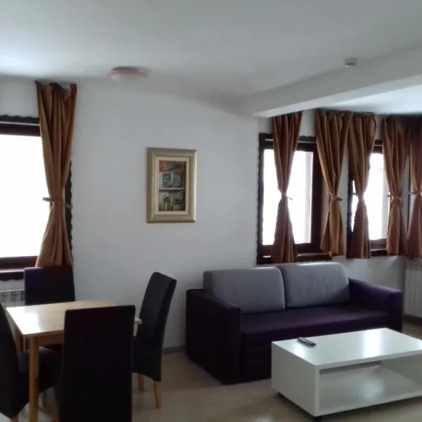Sound apartment，位于福伊尼察的酒店