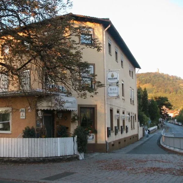 城堡山酒店，位于Laudenbach的酒店