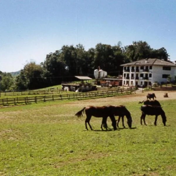 Favetto Family Ranch，位于Rueglio的酒店