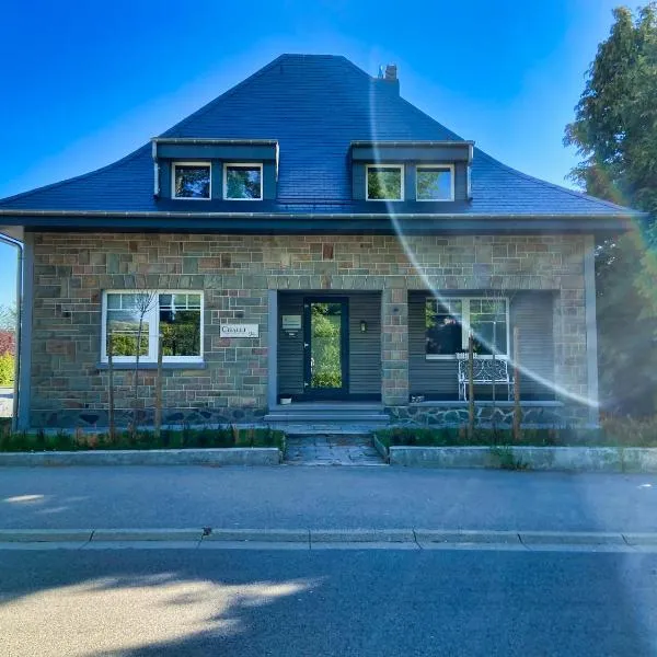 Chalet 24，位于比特亨巴赫的酒店