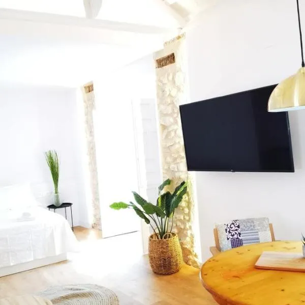 MANZANO PALACE. Habitaciones y Suites 30 m2 en la Plaza Mayor，位于阿尔玛格鲁的酒店