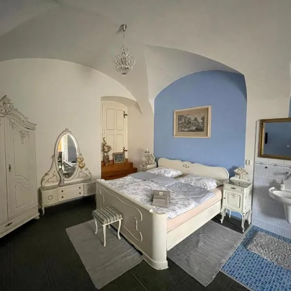 Dvoulůžkový pokoj Blue Grace na zámku，位于捷克卡梅尼采的酒店