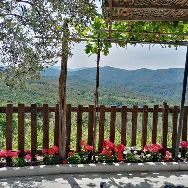 Agriturismo Tre Morene，位于Monteforte Cilento的酒店