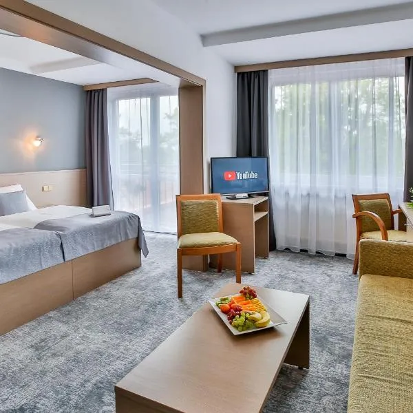 LH Parkhotel Hluboka Nad Vltavou，位于Hrdějovice的酒店