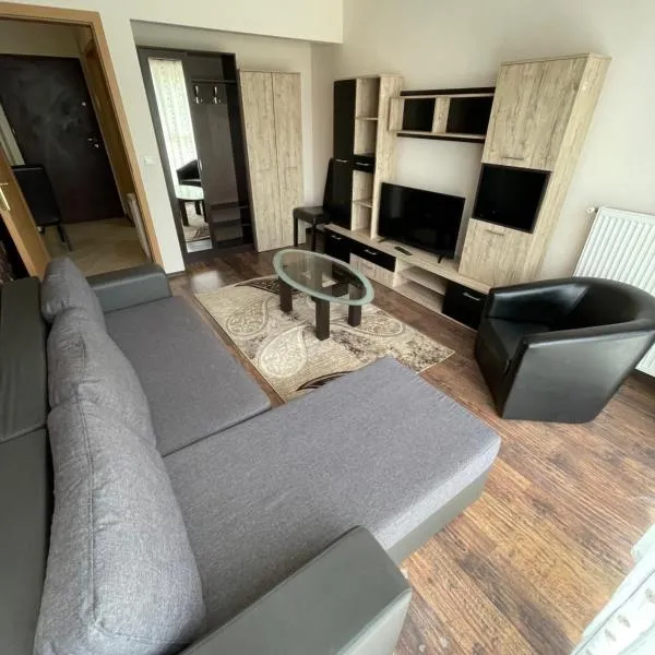 Olympia Residence，位于Chişineu Criş的酒店