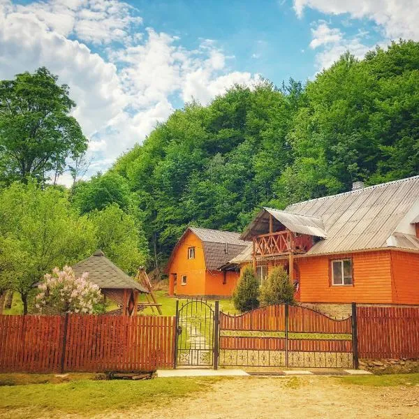 格拉克山林小屋，位于Nizhniy Studenyy的酒店