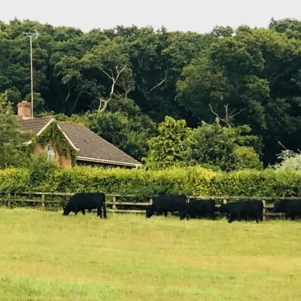 Yellowham Farm, Dorchester，位于耶娄哈姆伍德的酒店