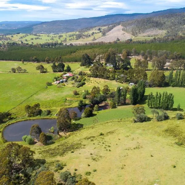 Hamlet Downs Country Accommodation，位于芬特伯里的酒店