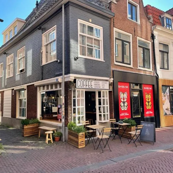 Tiny Private City Rooms Haarlem，位于海滨诺德韦克的酒店