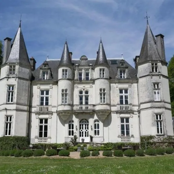 Château de Vallagon，位于Vallières-les-Grandes的酒店