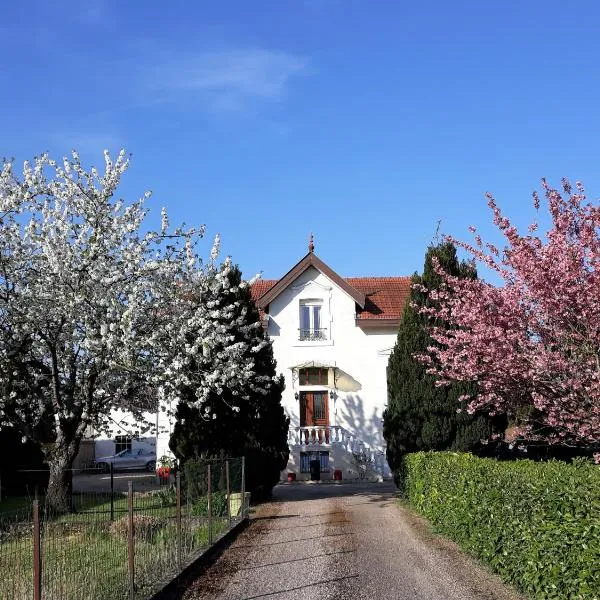 La Maison Mirabeau，位于默兹河畔凡尔登的酒店