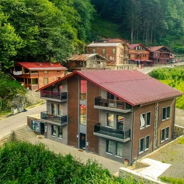 Anemo Suite，位于乌宗的酒店