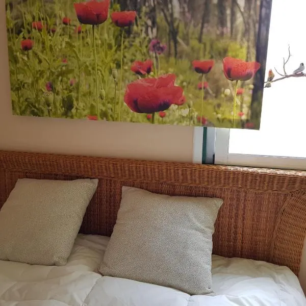 THE POPPIES Private Suite 100m Beach - Welcoming Cava included!，位于Arafo的酒店