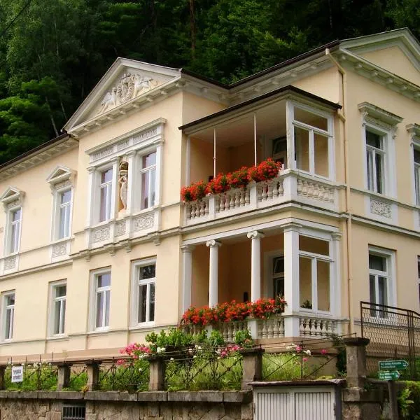 Pension Villa Anna，位于Reinhardtsdorf的酒店