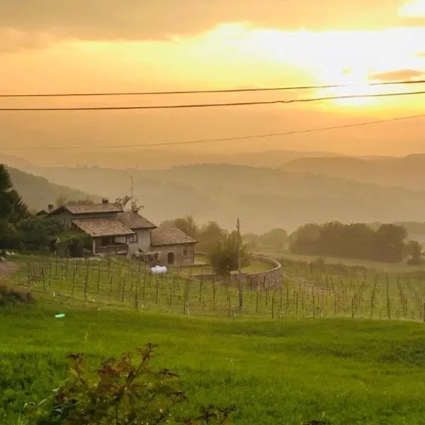 Fattoria Branciana，位于Rossena的酒店