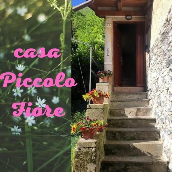 casa piccolo fiore，位于莱泽诺的酒店