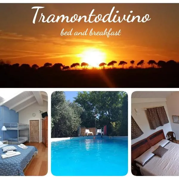 Tramontodivino b&b，位于San Pietro in Campiano的酒店