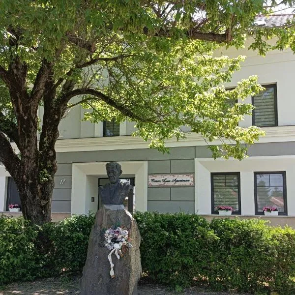 Corso Lux Apartman，位于久洛的酒店