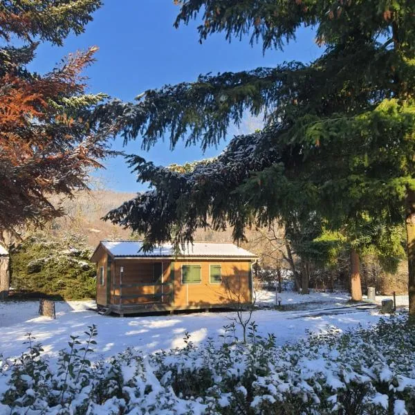 Chalet Beau Rivage，位于Gunsbach的酒店