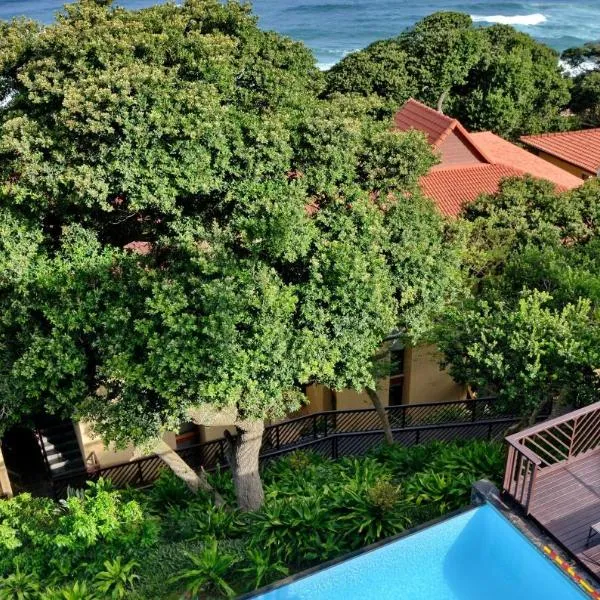 ANEW Hotel Ocean Reef Zinkwazi，位于布莱斯代尔的酒店