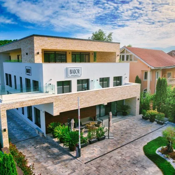 Biador Apartments，位于Husasău de Criş的酒店