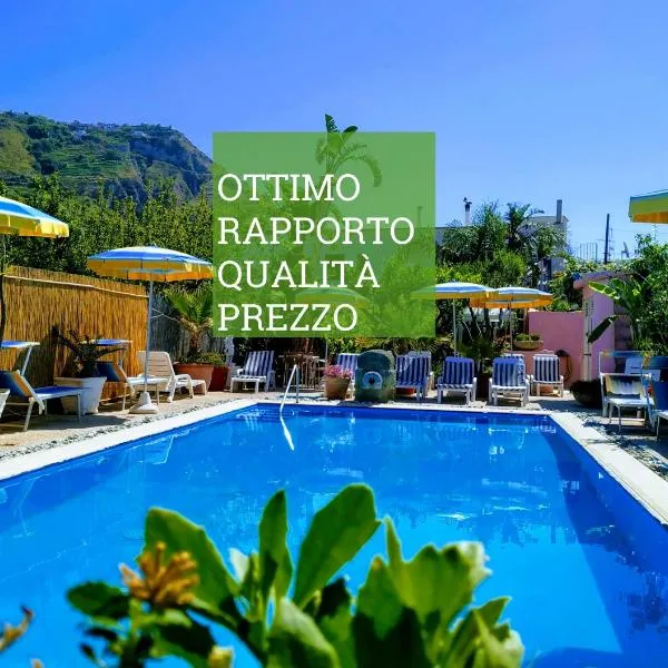 Hotel Casa Nicola，位于伊斯基亚的酒店