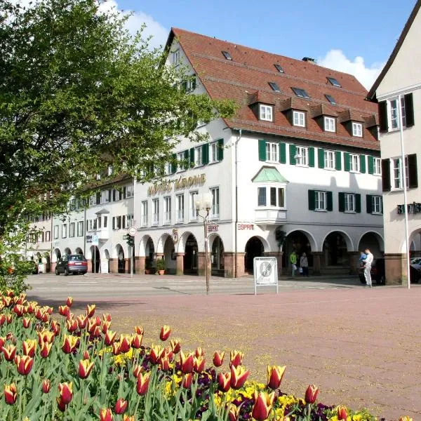柯罗尼酒店，位于弗罗伊登施塔特的酒店