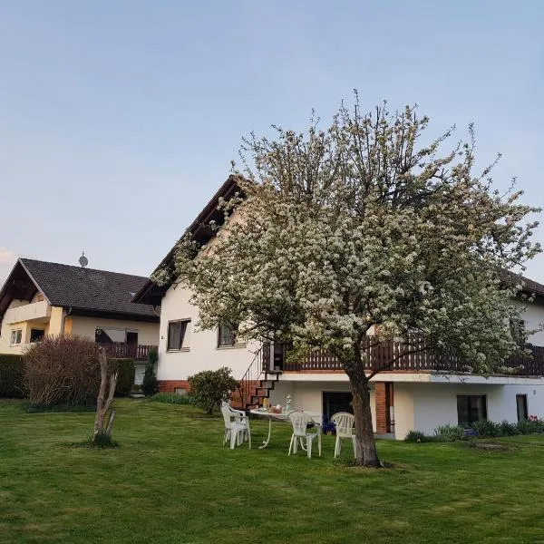 Ferienwohnung-Wald，位于Wald的酒店