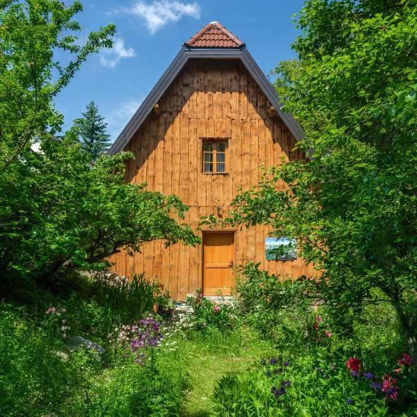 Yeti Cabin，位于Donji Babin Potok的酒店