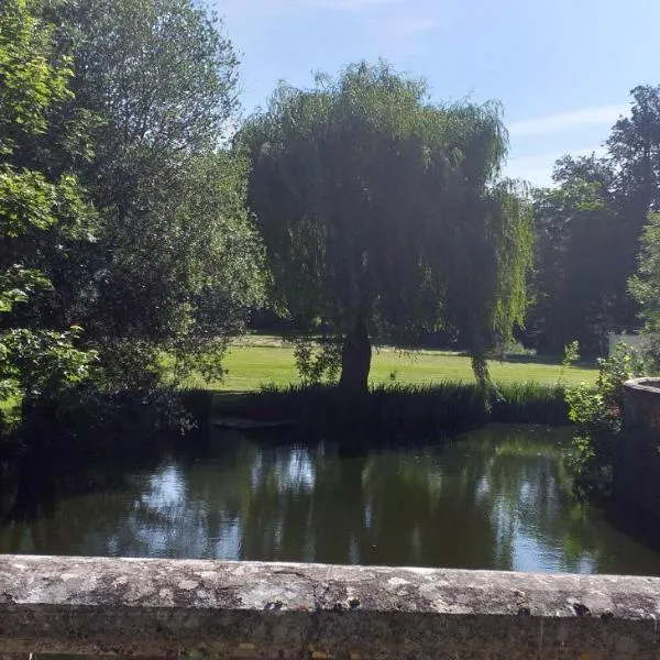 Chateau de rocheux，位于La Chapelle-Enchérie的酒店